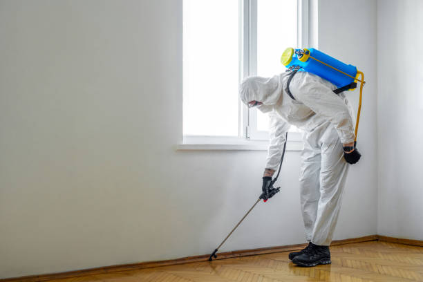 Best Real Estate Pest Inspections  in Wheaton, MD